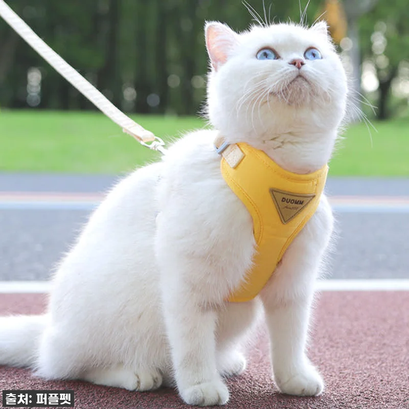 💖 품절임박! 우리 냥이 산책 필수템 관련 이미지 1
