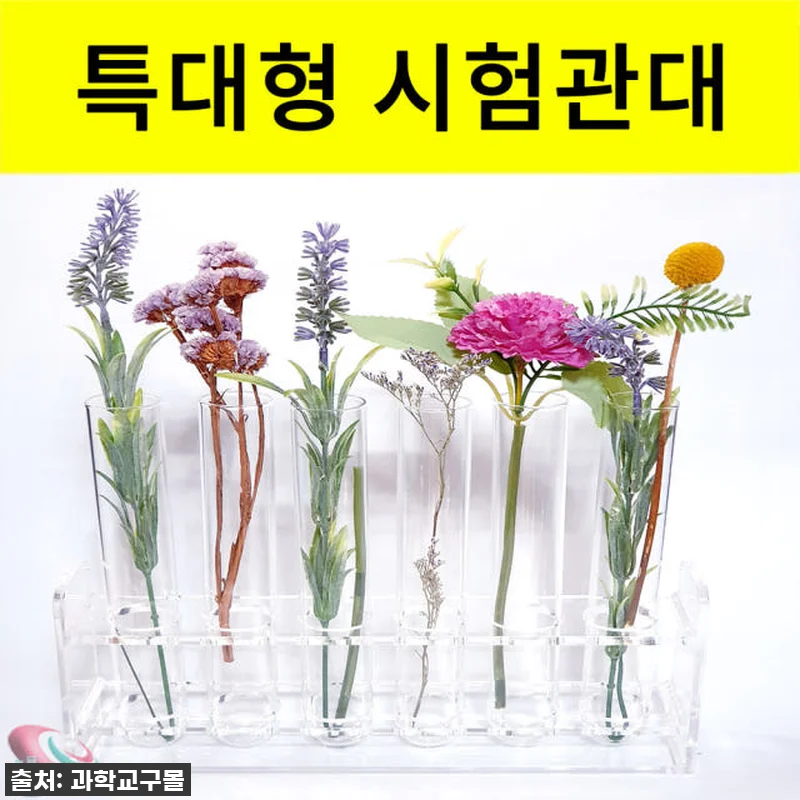 감성 플랜테리어 끝판왕? ✨ 투명 시 관련 이미지 1