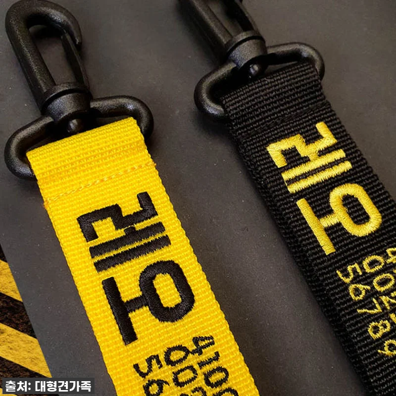 우리 댕댕이, 스타일 살리고 안전까지 관련 이미지 1