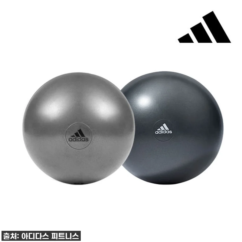 아디다스 짐볼 55CM 찐후기: 집콕 관련 이미지 2