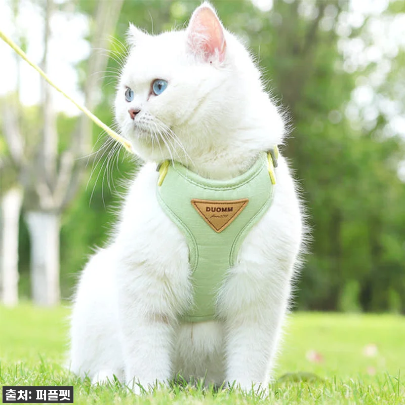 💖 품절임박! 우리 냥이 산책 필수템 관련 이미지 3