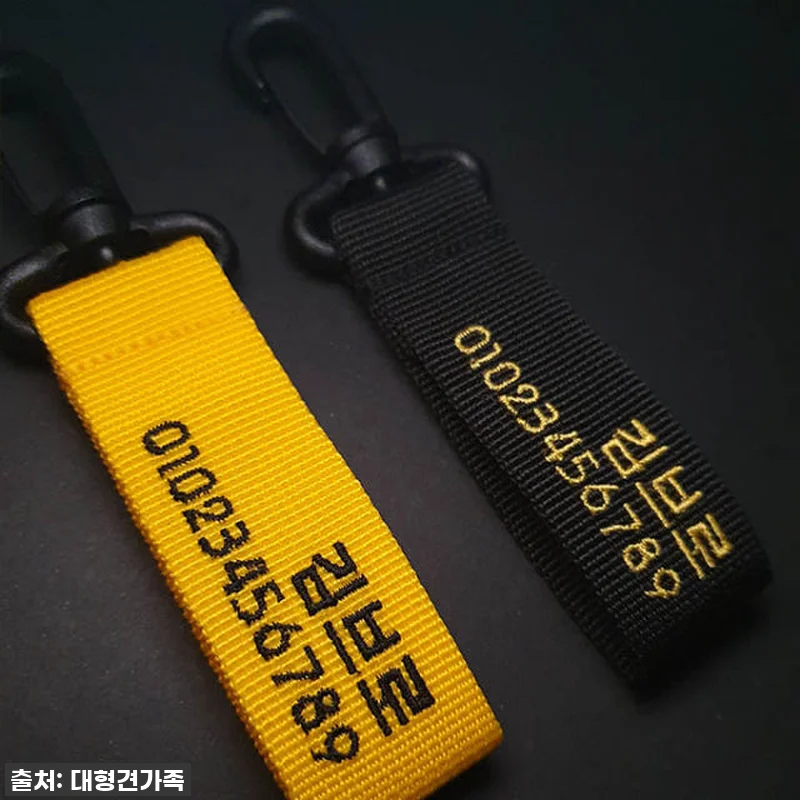 우리 댕댕이, 스타일 살리고 안전까지 관련 이미지 3