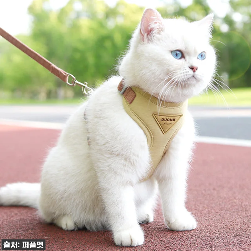 💖 품절임박! 우리 냥이 산책 필수템 관련 이미지 4