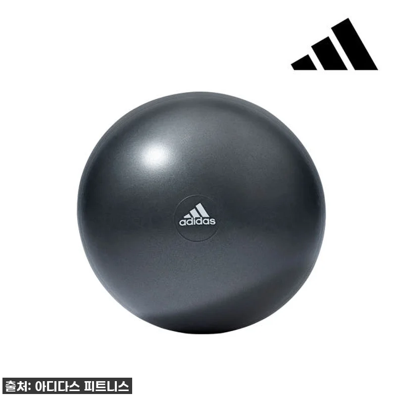 아디다스 짐볼 55CM 찐후기: 집콕 관련 이미지 4