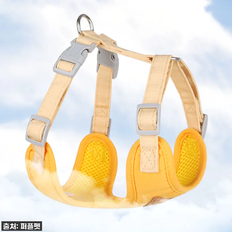 💖 품절임박! 우리 냥이 산책 필수템 관련 이미지 5