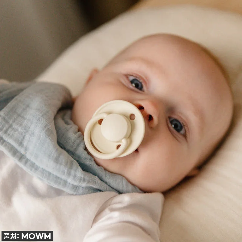 육아맘 강추! 덴마크 빕스 디럭스 실 관련 이미지 5