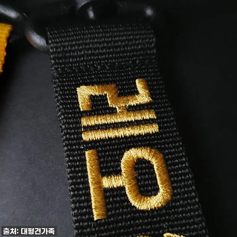 우리 댕댕이, 스타일 살리고 안전까지 관련 이미지 5