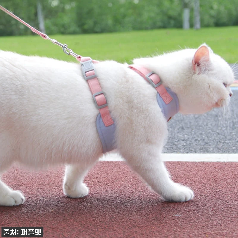 💖 품절임박! 우리 냥이 산책 필수템 관련 이미지 6
