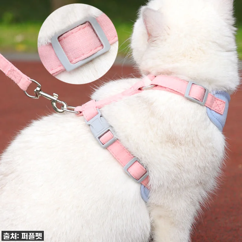 💖 품절임박! 우리 냥이 산책 필수템 관련 이미지 7