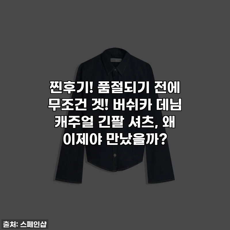 찐후기! 품절되기 전에 무조건 겟! 버쉬카 데님 캐주얼 긴팔 셔츠, 왜 이제야 만났을까?