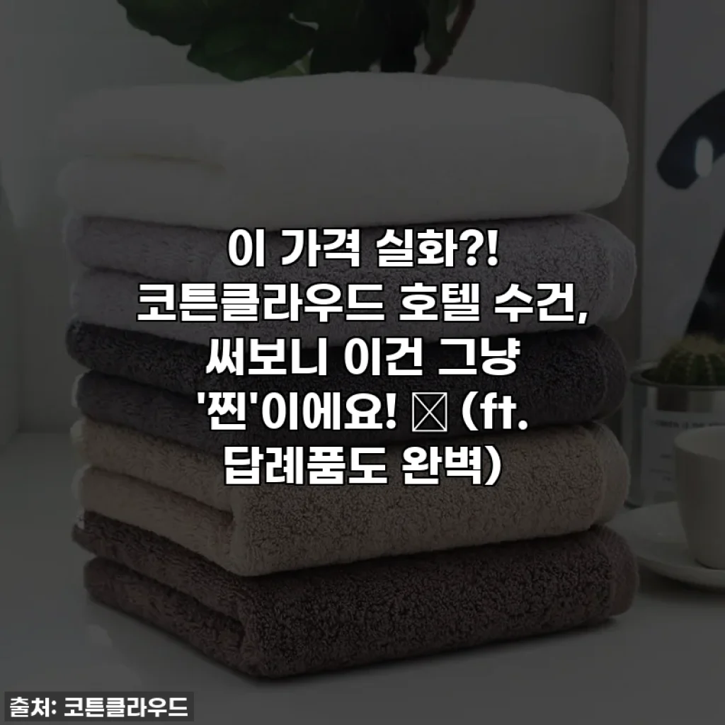 이 가격 실화?! 코튼클라우드 호텔 수건, 써보니 이건 그냥 '찐'이에요! ✨ (ft. 답례품도 완벽)