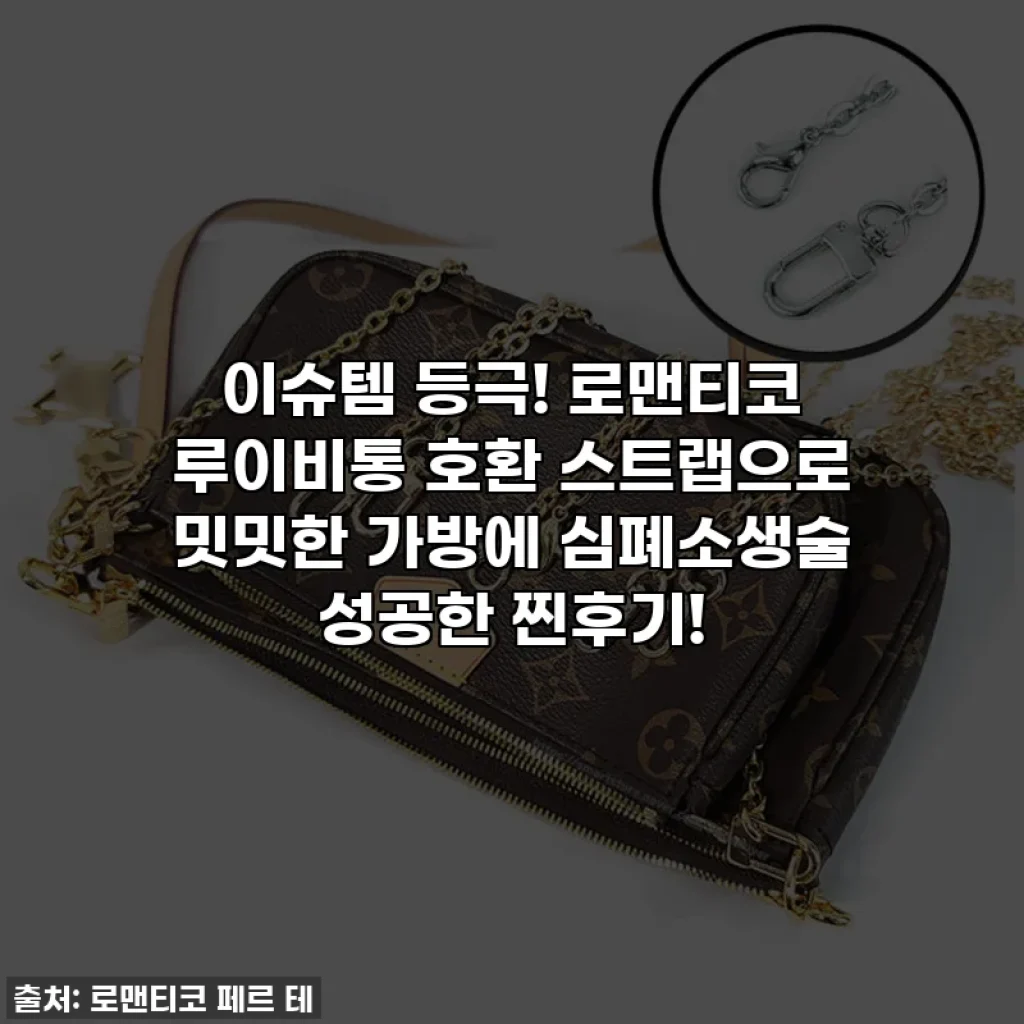 이슈템 등극! 로맨티코 루이비통 호환 스트랩으로 밋밋한 가방에 심폐소생술 성공한 찐후기!