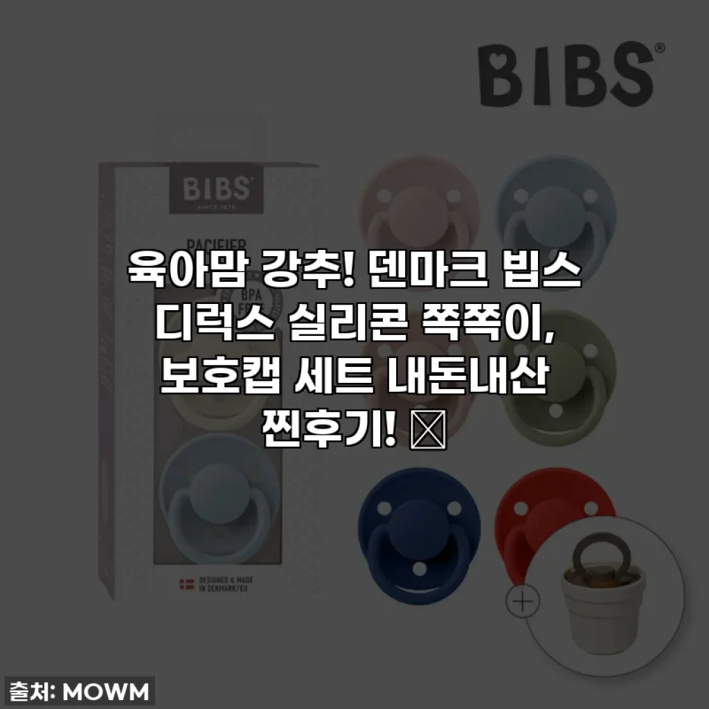 육아맘 강추! 덴마크 빕스 디럭스 실리콘 쪽쪽이, 보호캡 세트 내돈내산 찐후기! 🍼