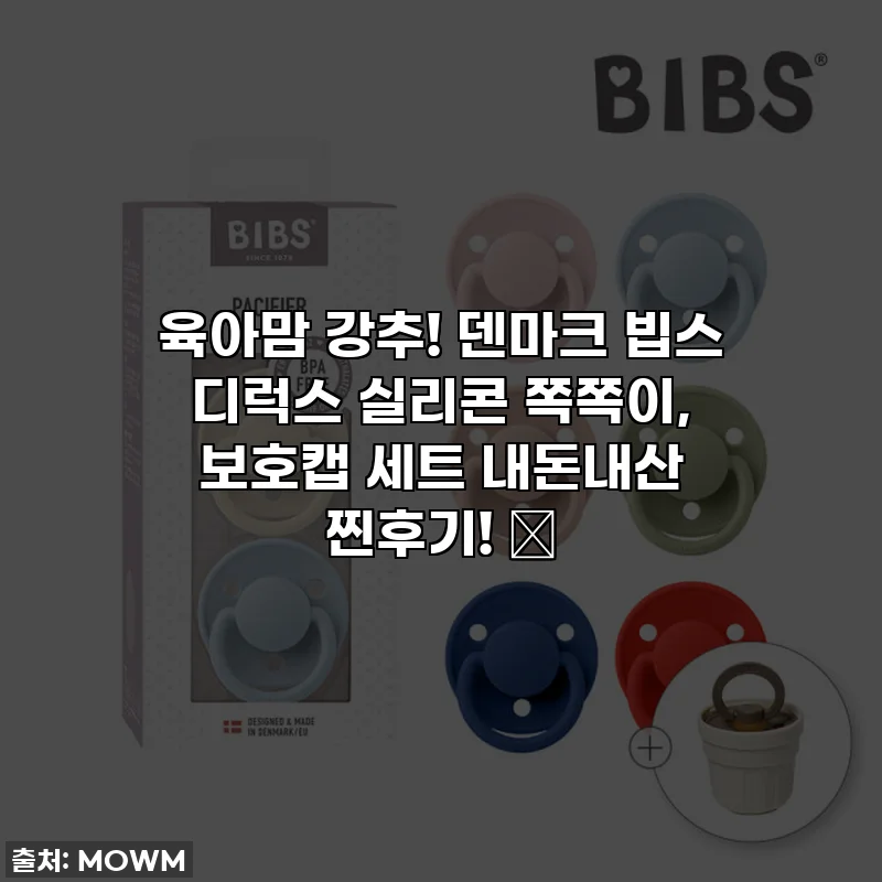 육아맘 강추! 덴마크 빕스 디럭스 실리콘 쪽쪽이, 보호캡 세트 내돈내산 찐후기! 🍼