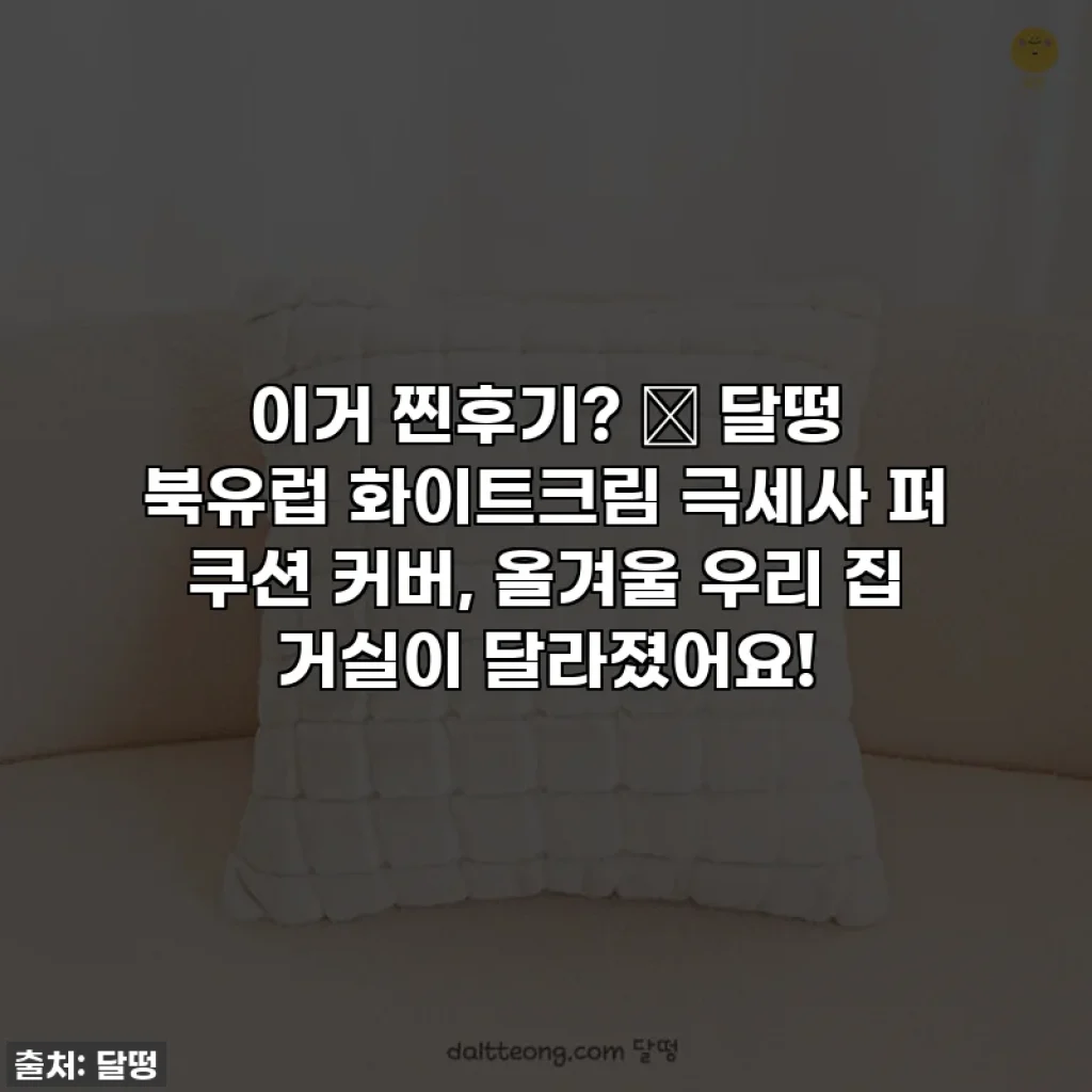 이거 찐후기? ✨ 달떵 북유럽 화이트크림 극세사 퍼 쿠션 커버, 올겨울 우리 집 거실이 달라졌어요!