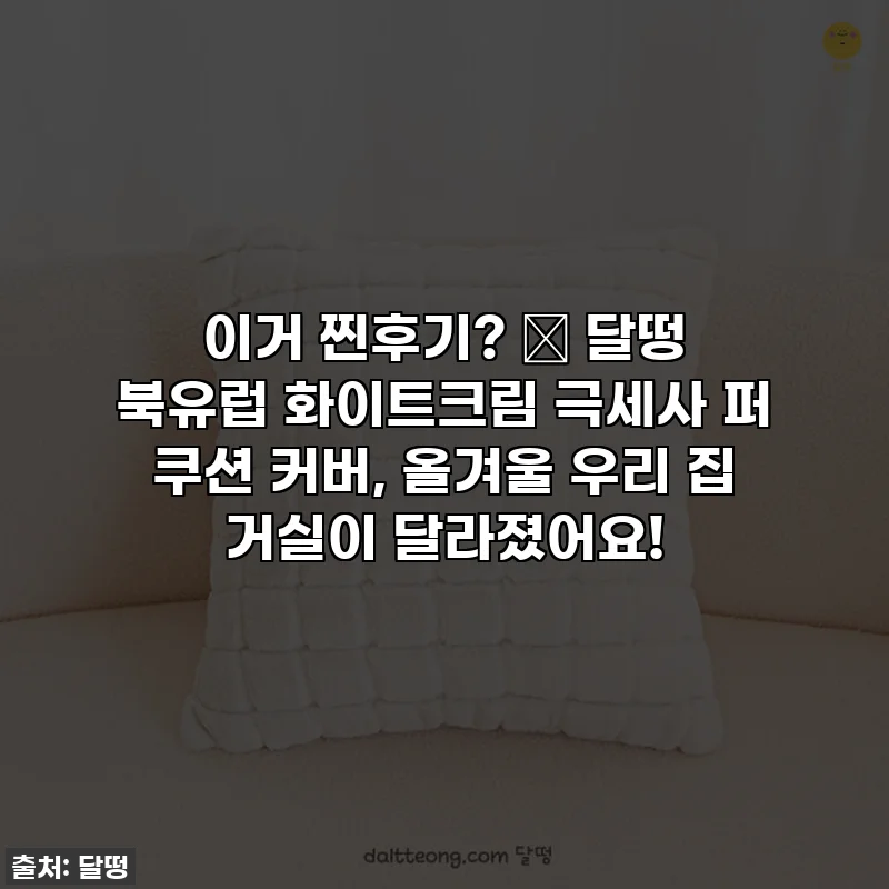 이거 찐후기? ✨ 달떵 북유럽 화이트크림 극세사 퍼 쿠션 커버, 올겨울 우리 집 거실이 달라졌어요!