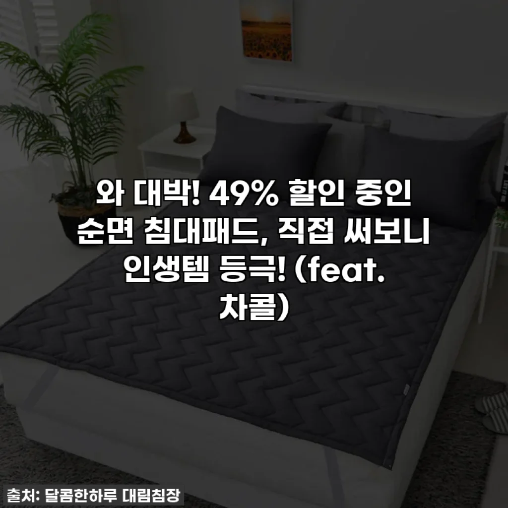와 대박! 49% 할인 중인 순면 침대패드, 직접 써보니 인생템 등극! (feat. 차콜)