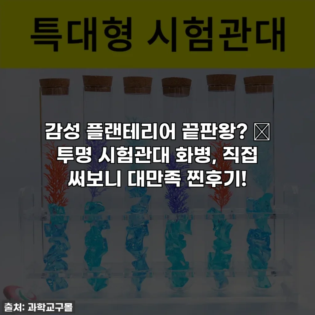감성 플랜테리어 끝판왕? ✨ 투명 시험관대 화병, 직접 써보니 대만족 찐후기!