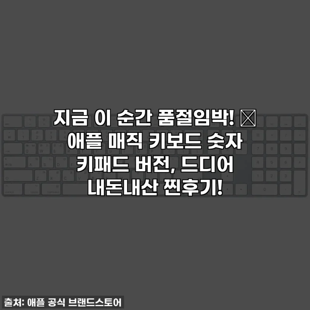 지금 이 순간 품절임박! ✨ 애플 매직 키보드 숫자 키패드 버전, 드디어 내돈내산 찐후기!