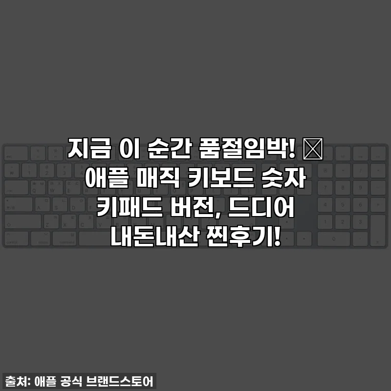 지금 이 순간 품절임박! ✨ 애플 매직 키보드 숫자 키패드 버전, 드디어 내돈내산 찐후기!