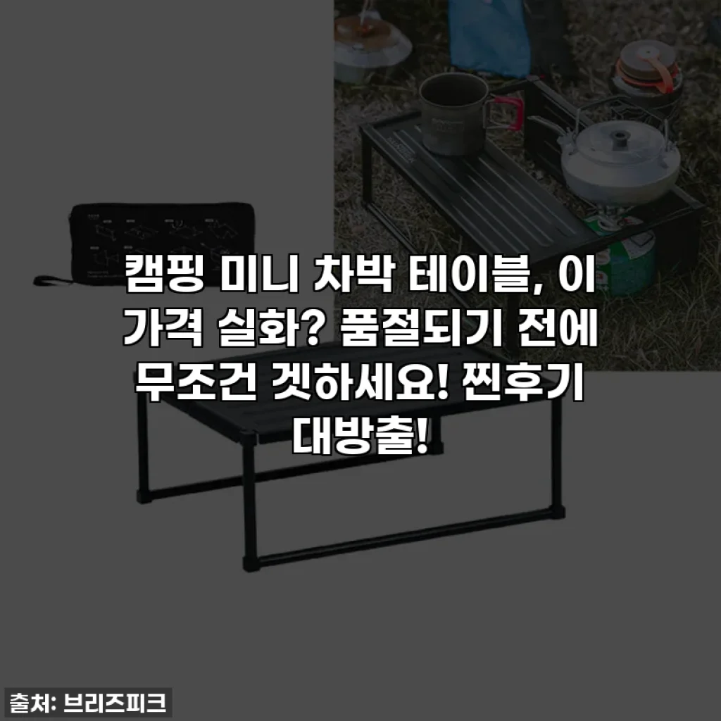 캠핑 미니 차박 테이블, 이 가격 실화? 품절되기 전에 무조건 겟하세요! 찐후기 대방출!