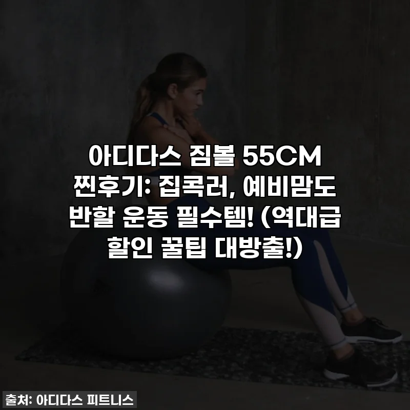 아디다스 짐볼 55CM 찐후기: 집콕러, 예비맘도 반할 운동 필수템! (역대급 할인 꿀팁 대방출!)