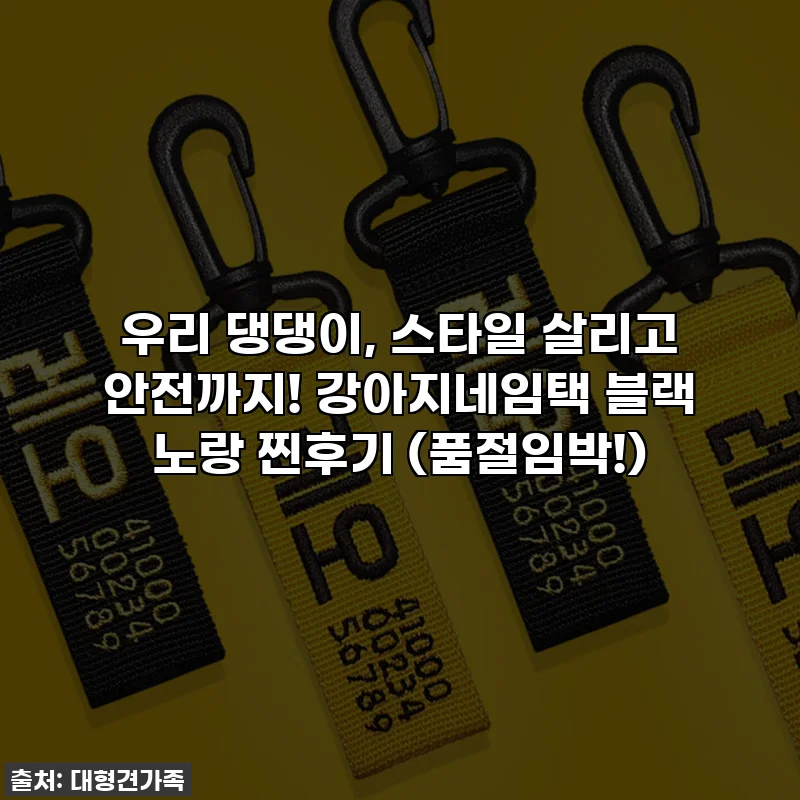 우리 댕댕이, 스타일 살리고 안전까지! 강아지네임택 블랙 노랑 찐후기 (품절임박!)