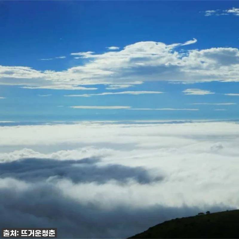 이 가격 실화?! 찐후기! 일본 도치 관련 이미지 1