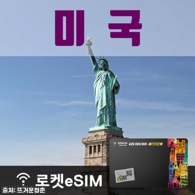 미국 여행 필수템? 로켓eSIM 3일 관련 이미지 1