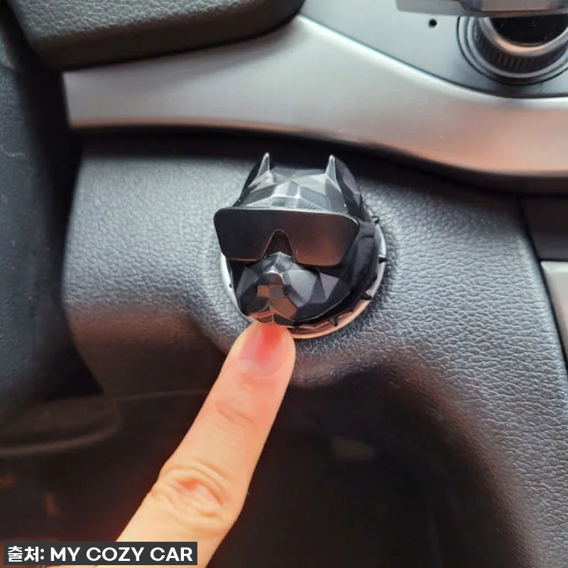 내 차가 확 달라졌네? 🚘 불독 스타 관련 이미지 1