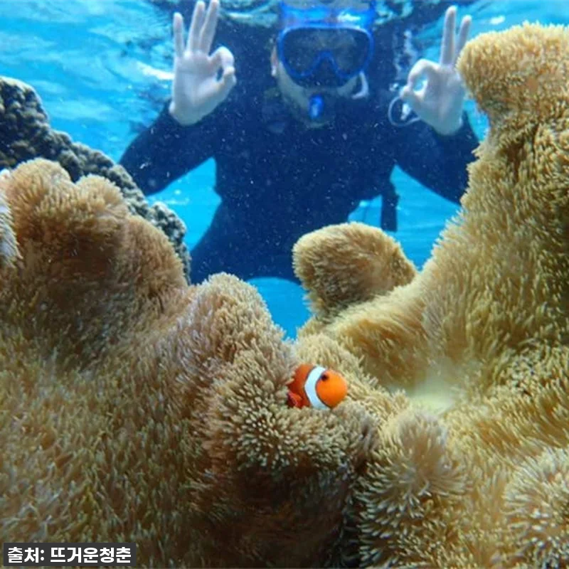 오키나와 미야코지마 스노클링+SUP/ 관련 이미지 1