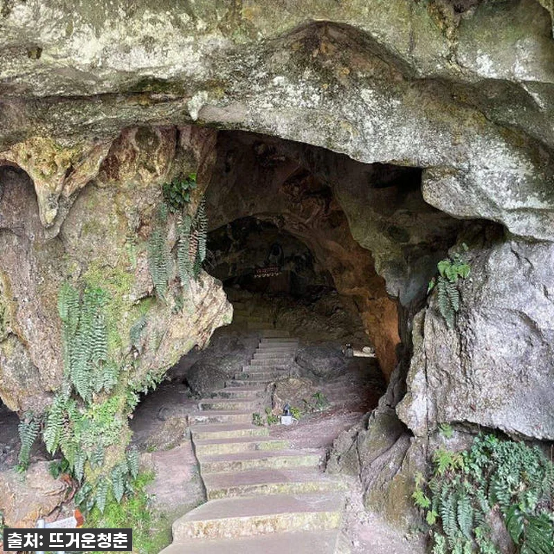 🔥역대급 찐후기! 말레이시아 사라왁 관련 이미지 1