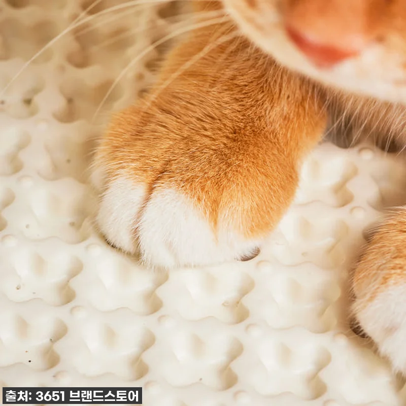 찐후기! 35% 할인 놓치면 후회할 관련 이미지 2