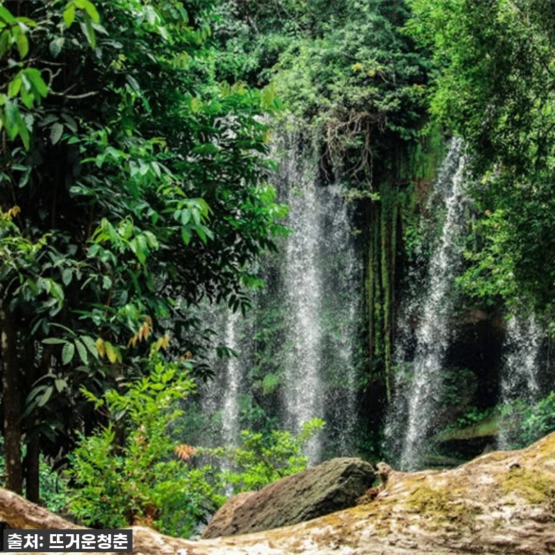 캄보디아 여행 필수템? 프놈쿨렌 국립 관련 이미지 2