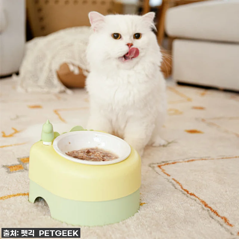 고양이 집사라면 무조건 품절임박! 펫 관련 이미지 2