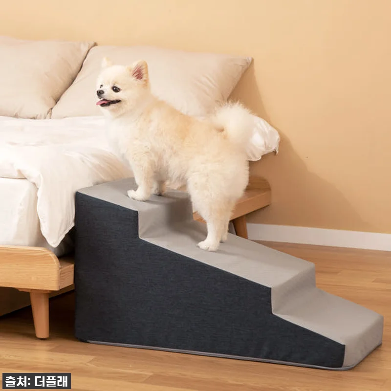 찐후기! 우리 댕댕이 슬개골 지킴이 관련 이미지 1