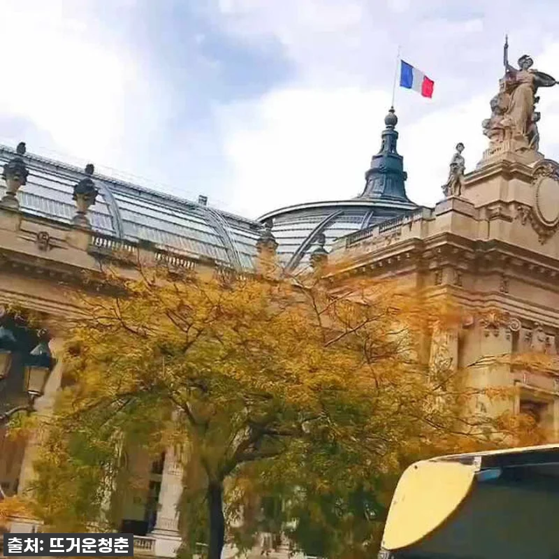 파리 여행 이걸로 끝! 찐후기: 빅버 관련 이미지 2