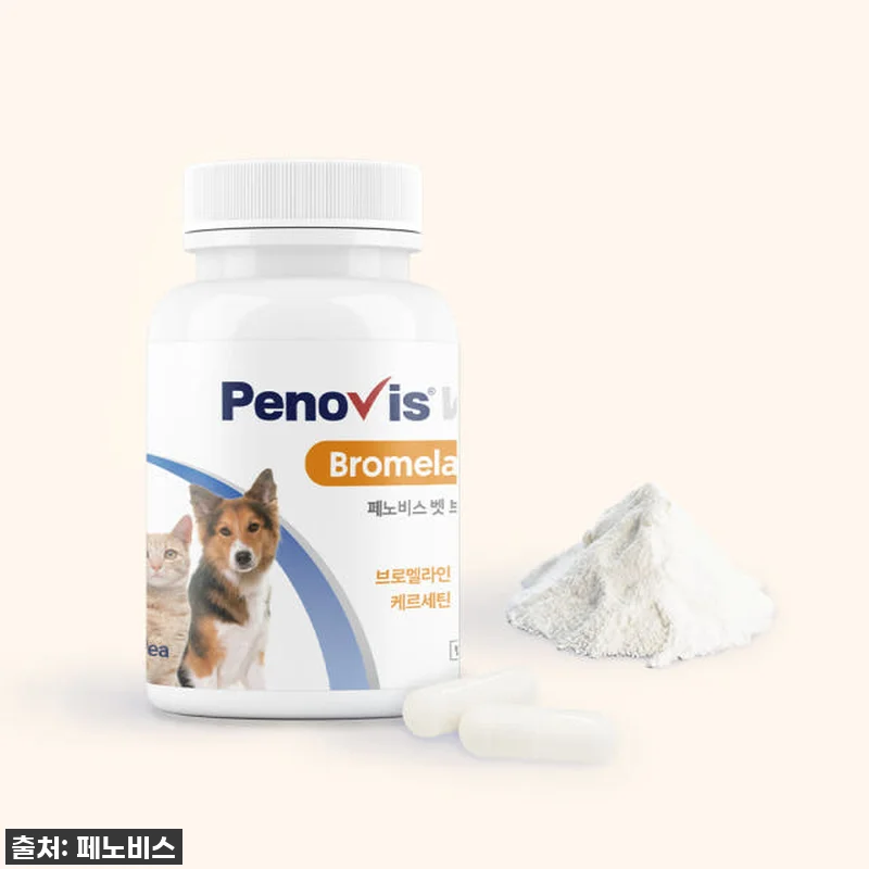 숨 막히는 우리 토리에게 새 삶을! 관련 이미지 2