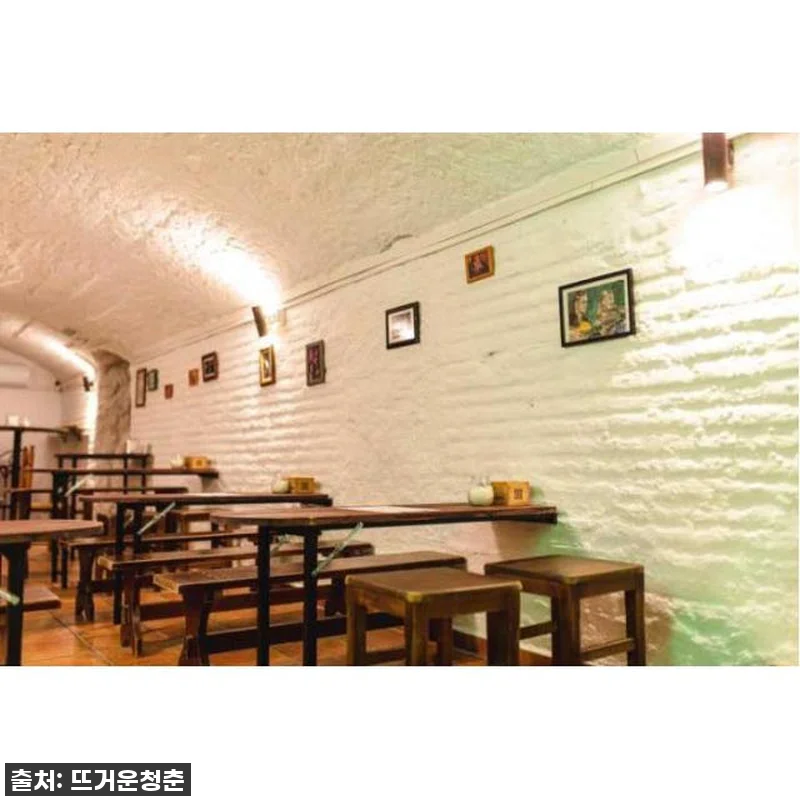 스페인 그라나다 동굴 플라멩코 쇼 입 관련 이미지 2