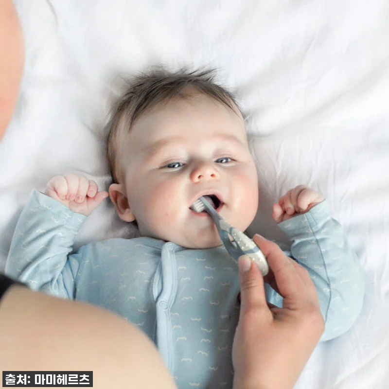 돌아기 첫 칫솔, 조르단 그린클린 6 관련 이미지 2