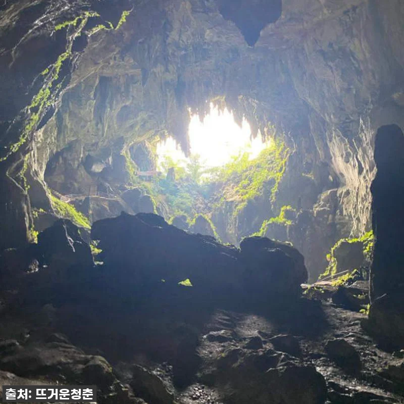 🔥역대급 찐후기! 말레이시아 사라왁 관련 이미지 2