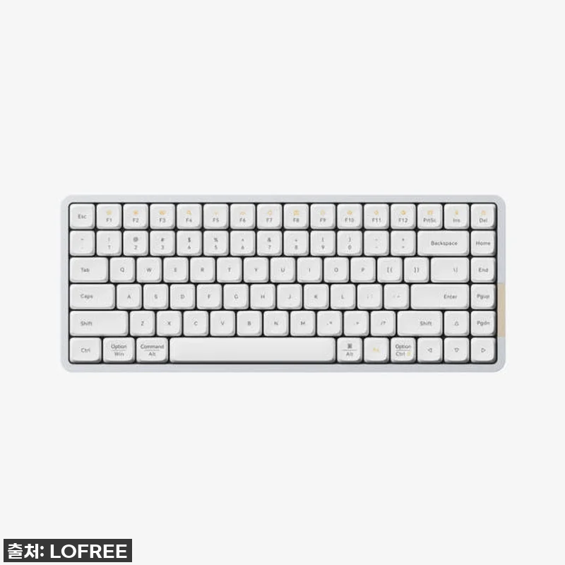 🔥역대급 할인 놓치면 후회! 로프리 관련 이미지 2