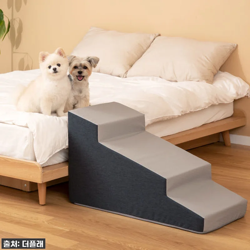 찐후기! 우리 댕댕이 슬개골 지킴이 관련 이미지 2