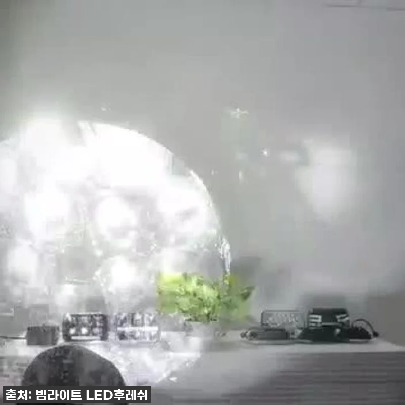 ✨이슈템✨ 밤낚시 조과 두 배로! 1 관련 이미지 3