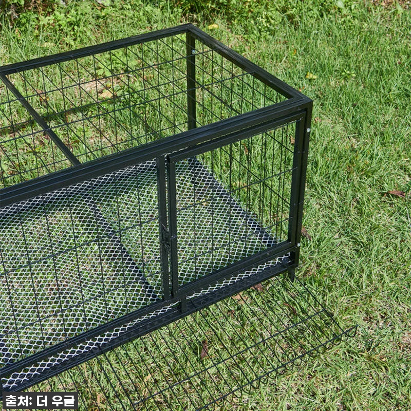 🐓우리집 닭들이 날아갈 준비 완료! 관련 이미지 3