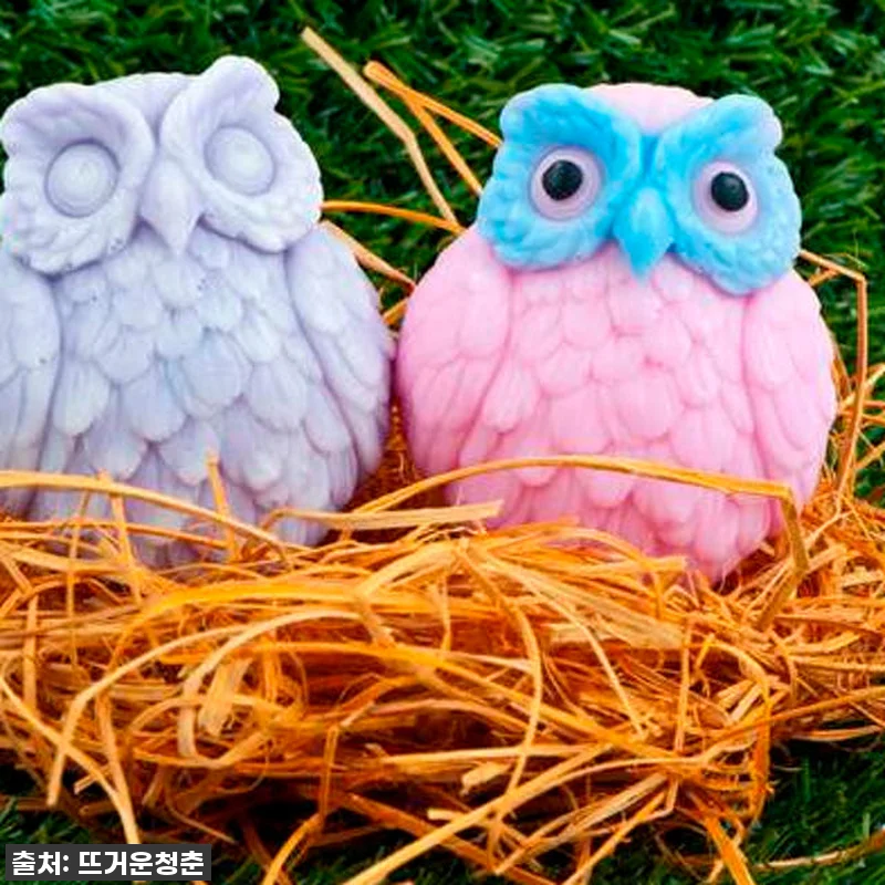 이슈템 등극! 싱가포르 비누 만들기 관련 이미지 3