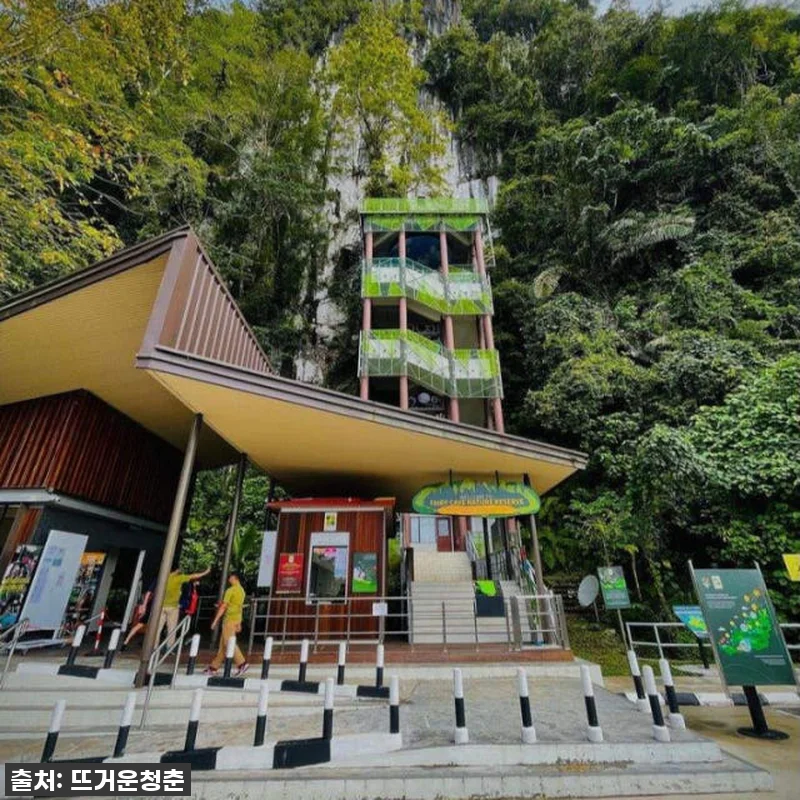 🔥역대급 찐후기! 말레이시아 사라왁 관련 이미지 3