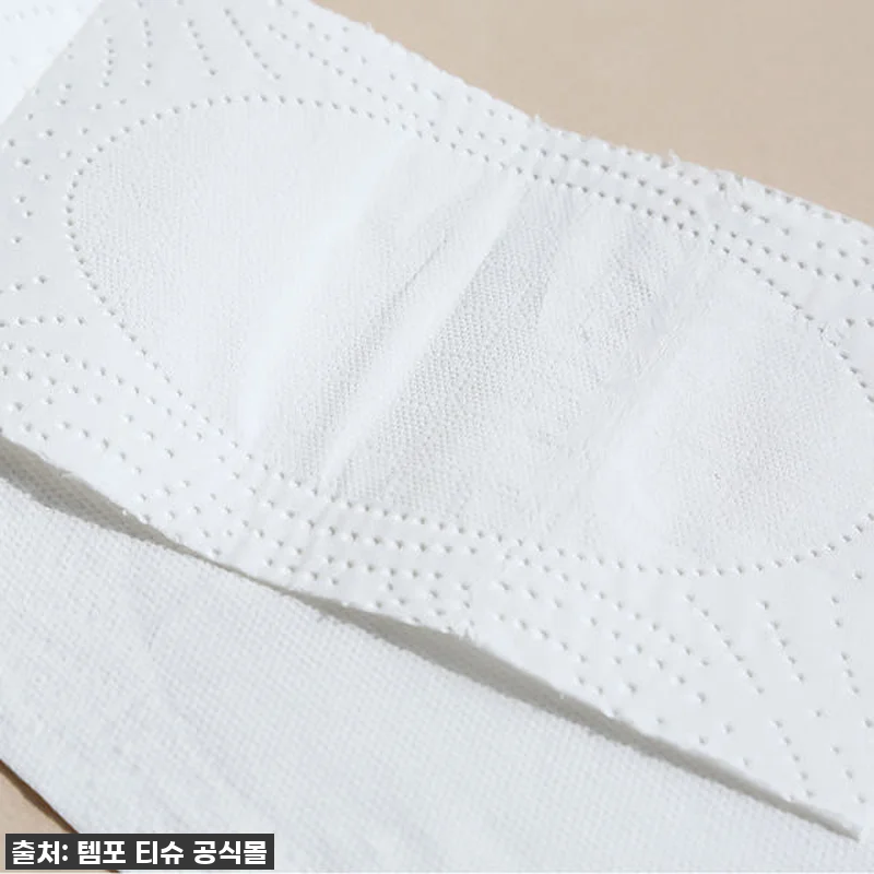 인생템 등극! 🤫 프랑스 직수입 템포 관련 이미지 4