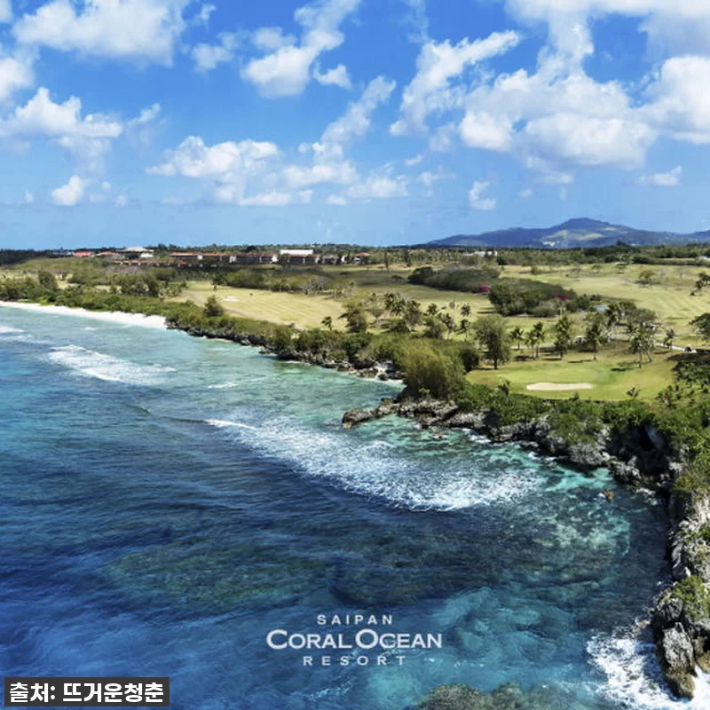 이슈템! 품절 임박! 사이판 코랄오션 관련 이미지 4