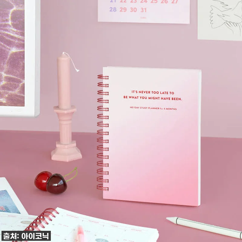 이슈템 떴다! 아이코닉 헤이데이 스터 관련 이미지 4